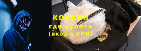 гашик Белокуриха