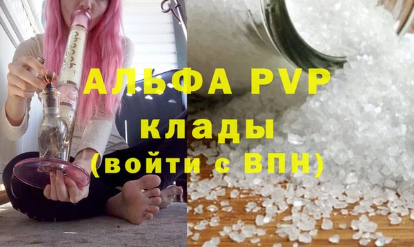 гашик Белокуриха