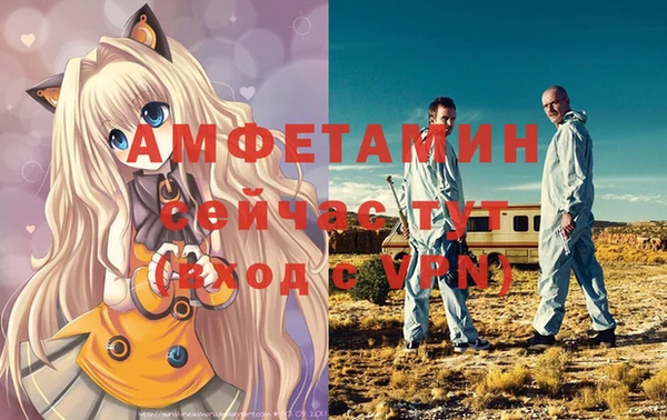 гашик Белокуриха