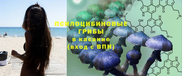 гашик Белокуриха