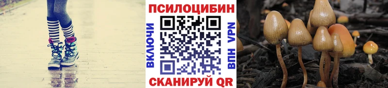 mega tor  Бузулук  Псилоцибиновые грибы ЛСД 