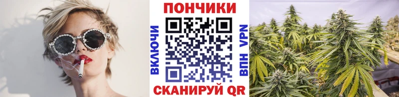 Бошки Шишки сатива KRAKEN вход Бузулук
